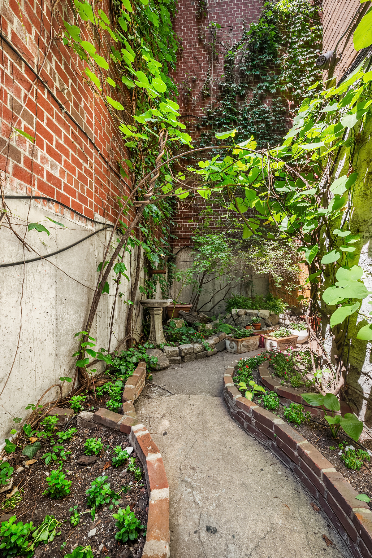 461 West 44th Street 6-B Clinton New York NY 10036