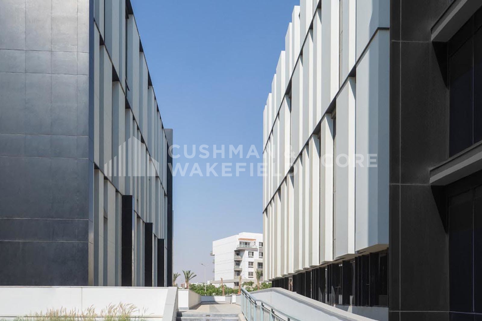 Hyde Park for lease in Hyde Park Business District