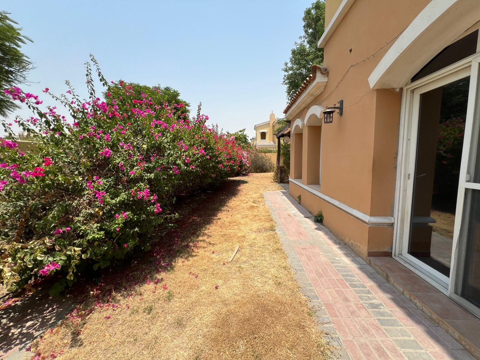 treohomes