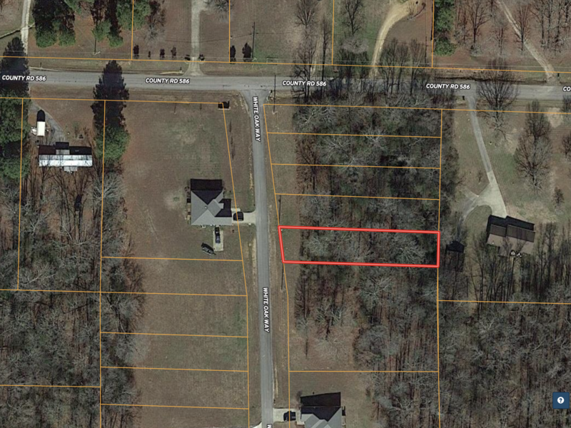 Wholesale Priced Quarter Acre Lot Ready for Your Dream Home - property image item 4