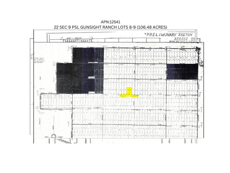 106.48 Acres Land in Fort Hancock, Texas