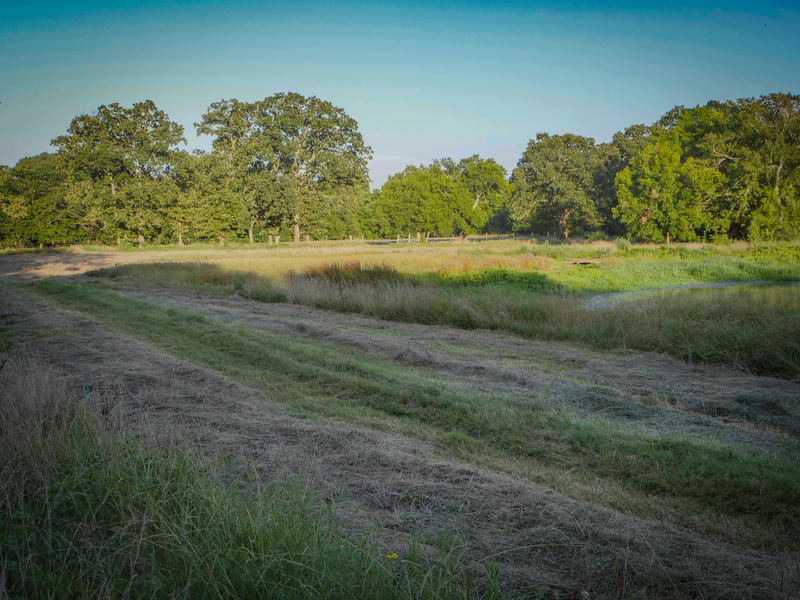 181 Acres Land for Sale in Weleetka, Oklahoma - property image item 22