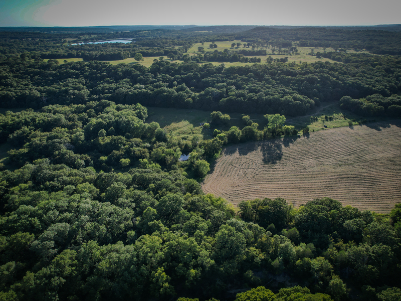 181 Acres Land for Sale in Weleetka, Oklahoma - property image item 13