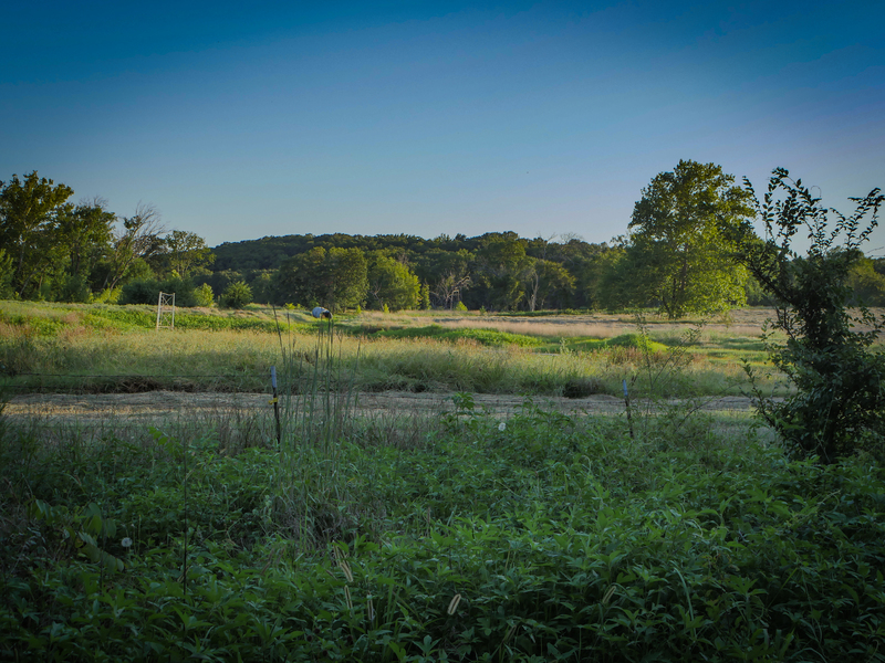 181 Acres Land for Sale in Weleetka, Oklahoma - property image item 20