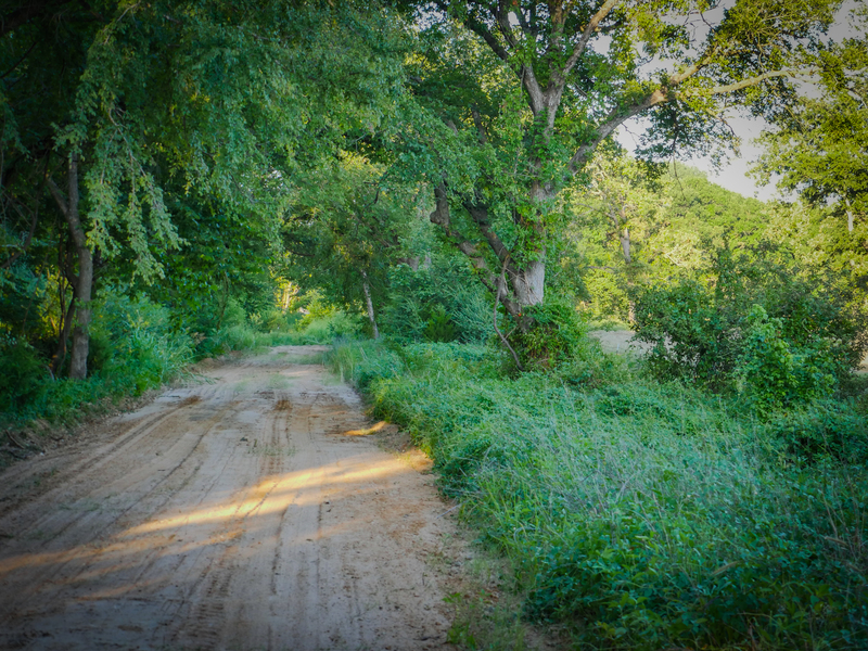 181 Acres Land for Sale in Weleetka, Oklahoma - property image item 9