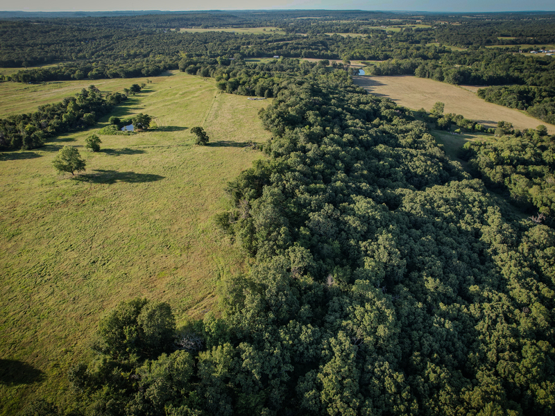 181 Acres Land for Sale in Weleetka, Oklahoma - property image item 16