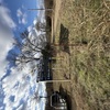 181 Acres Land for Sale in Weleetka, Oklahoma - property image item 40