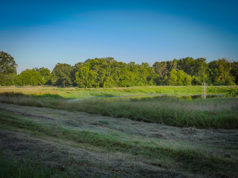 181 Acres Land for Sale in Weleetka, Oklahoma - property image item 23