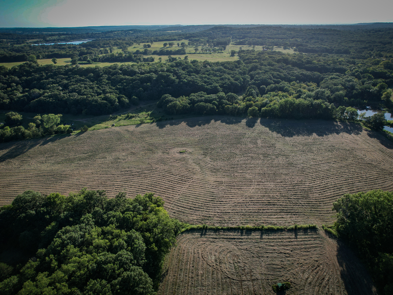 181 Acres Land for Sale in Weleetka, Oklahoma - property image item 12