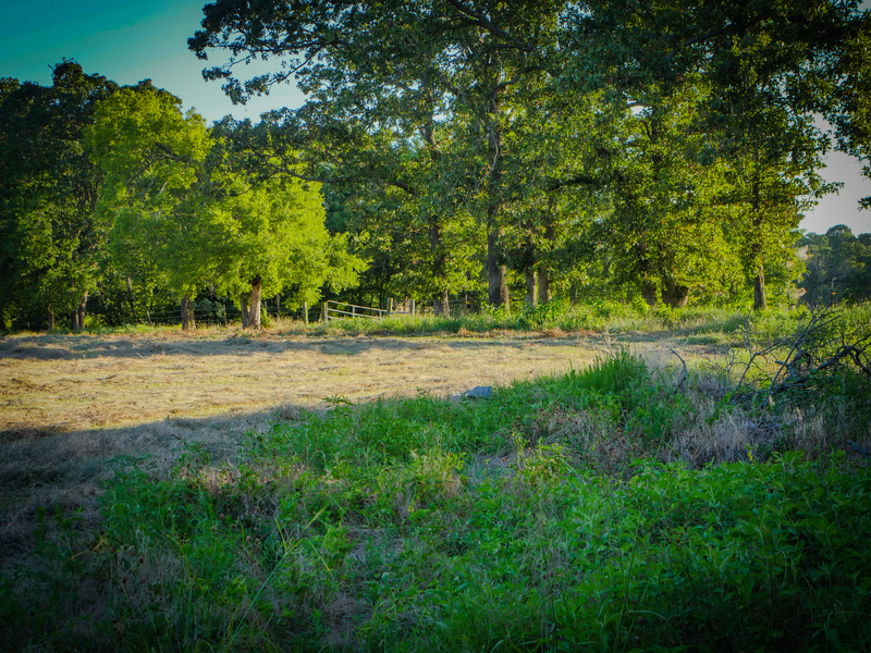 181 Acres Land for Sale in Weleetka, Oklahoma - property image item 31