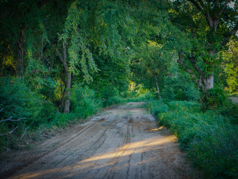 181 Acres Land for Sale in Weleetka, Oklahoma - property image item 33