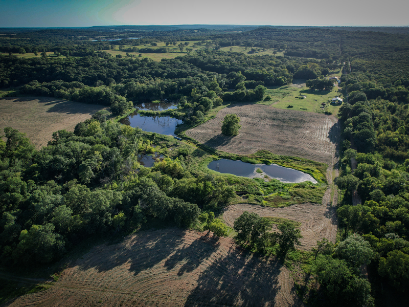 181 Acres Land for Sale in Weleetka, Oklahoma - property image item 11