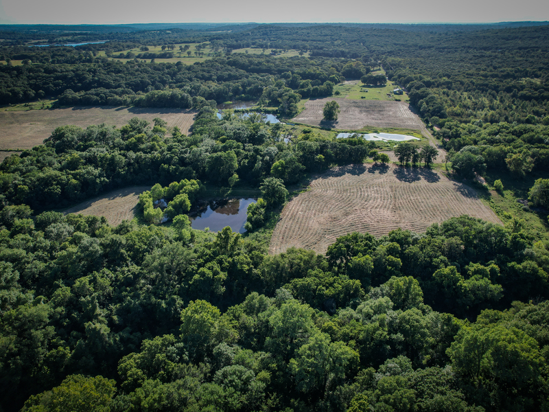 181 Acres Land for Sale in Weleetka, Oklahoma - property image item 28