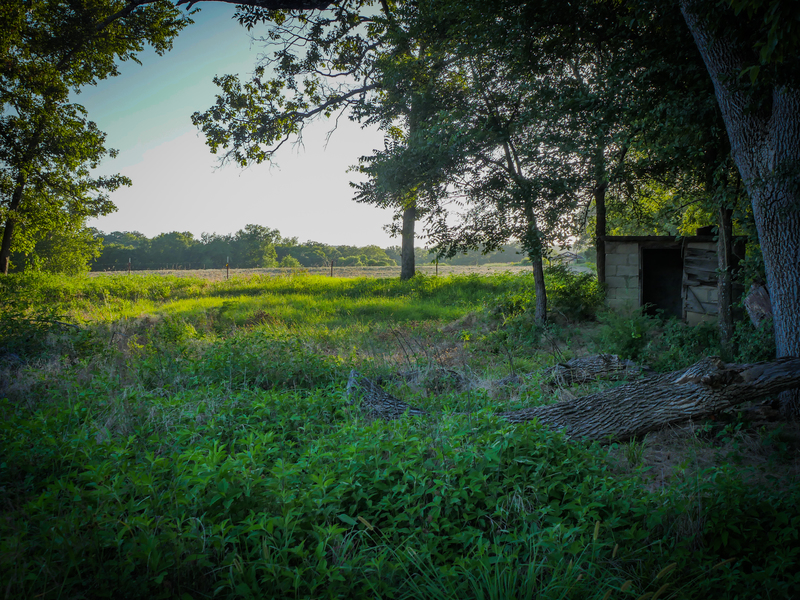 181 Acres Land for Sale in Weleetka, Oklahoma - property image item 32