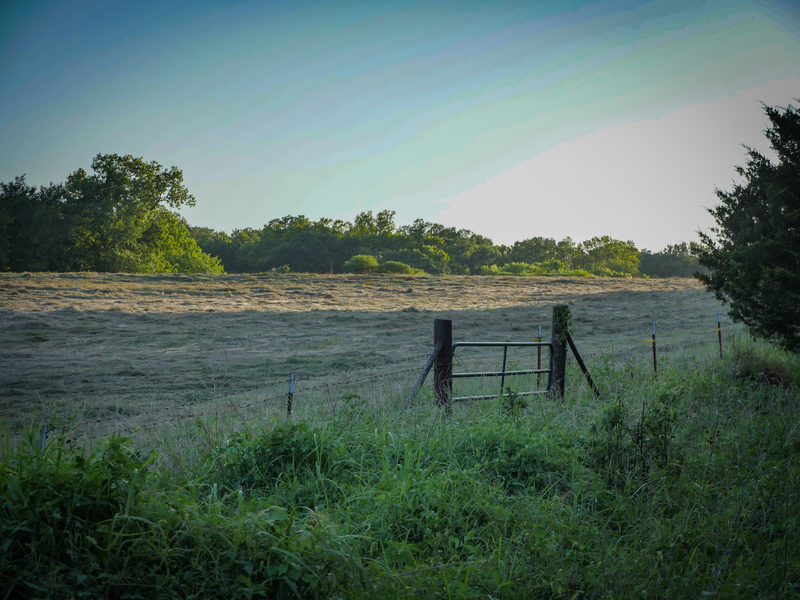 181 Acres Land for Sale in Weleetka, Oklahoma - property image item 21