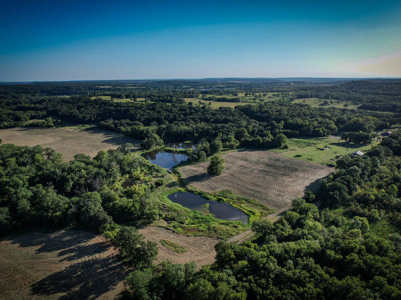 181 Acres Land for Sale in Weleetka, Oklahoma - property image item 5