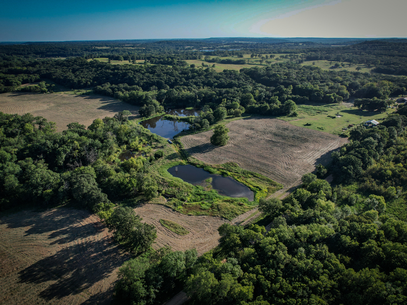 181 Acres Land for Sale in Weleetka, Oklahoma - property image item 6