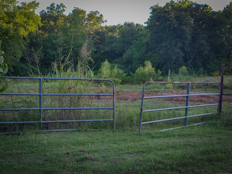 181 Acres Land for Sale in Weleetka, Oklahoma - property image item 24