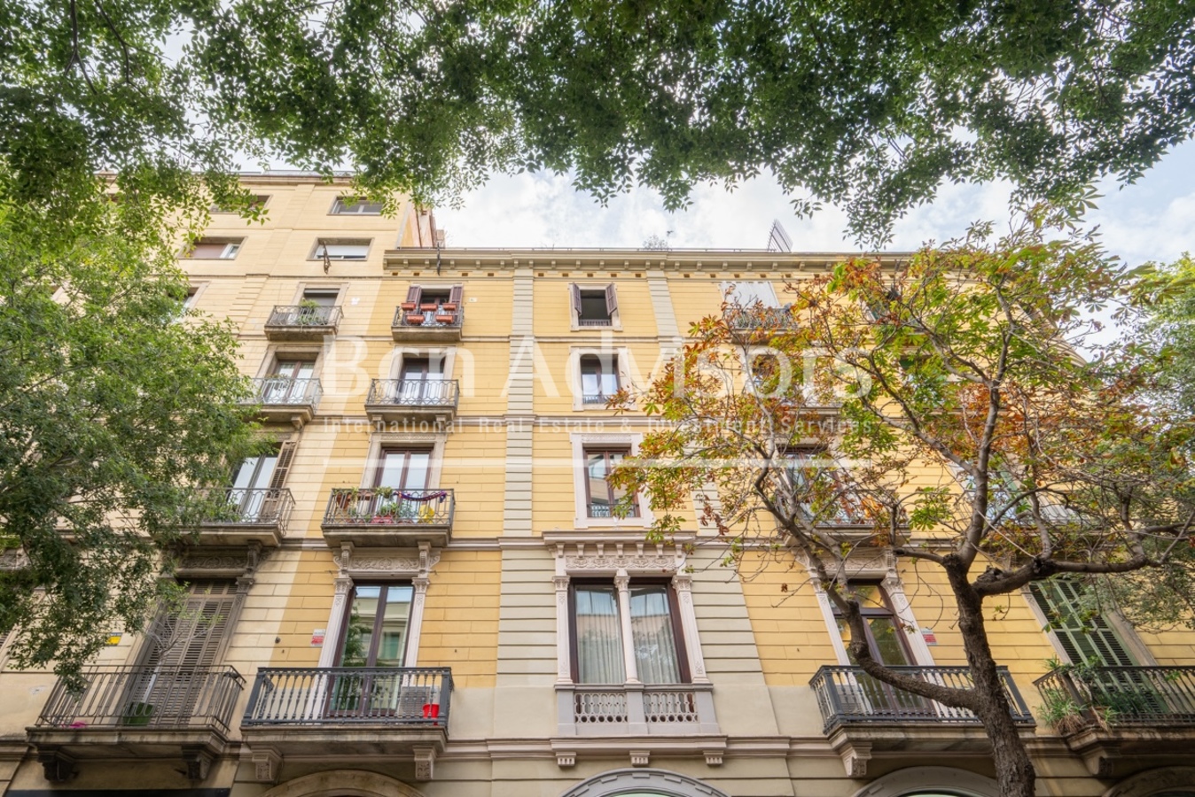 property_image