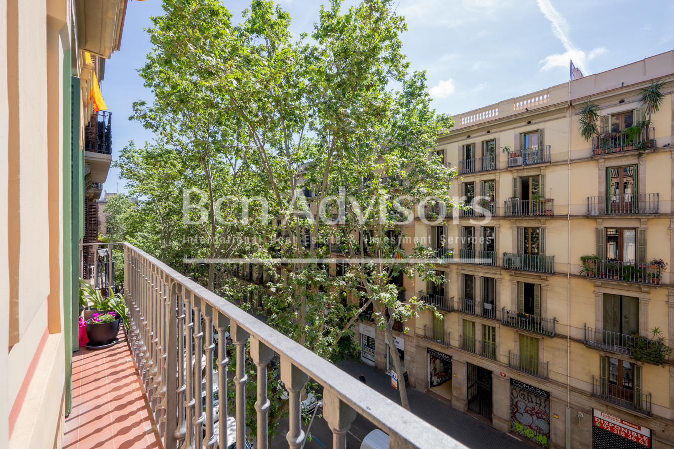 property_image