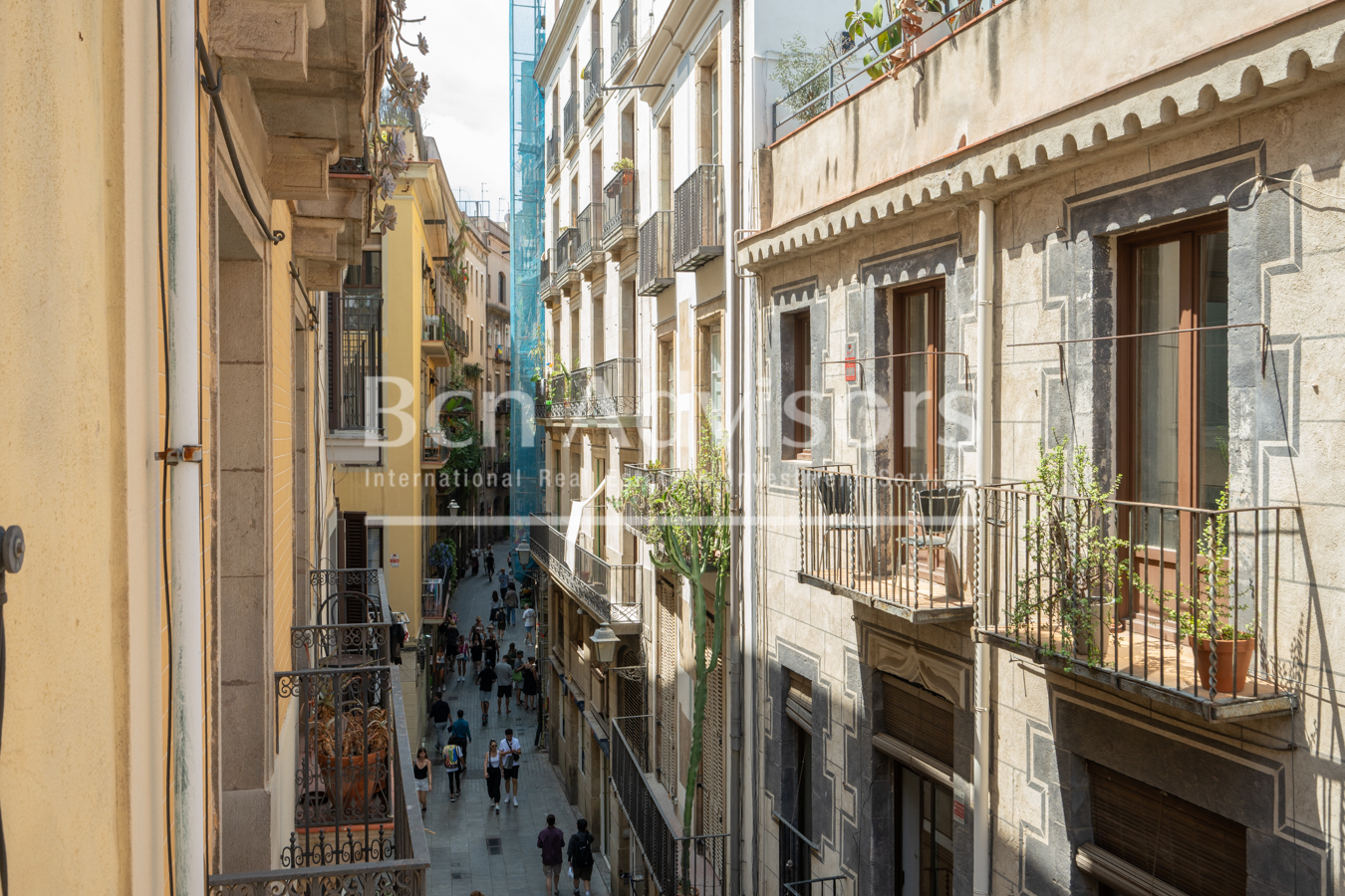 property_image