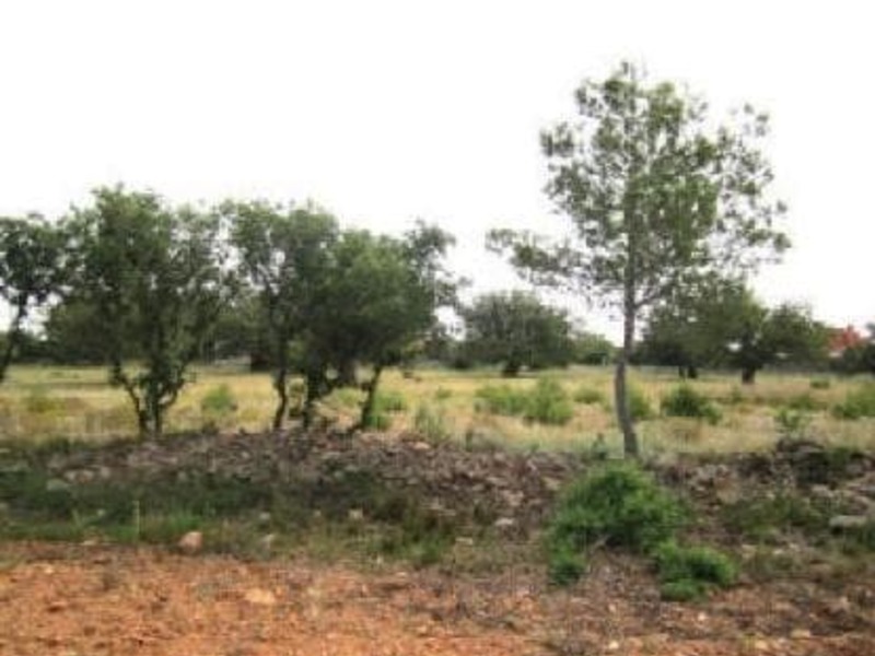 Suelo - Urbanizable en venta  en Urbanización LOS VISOS, Cheste