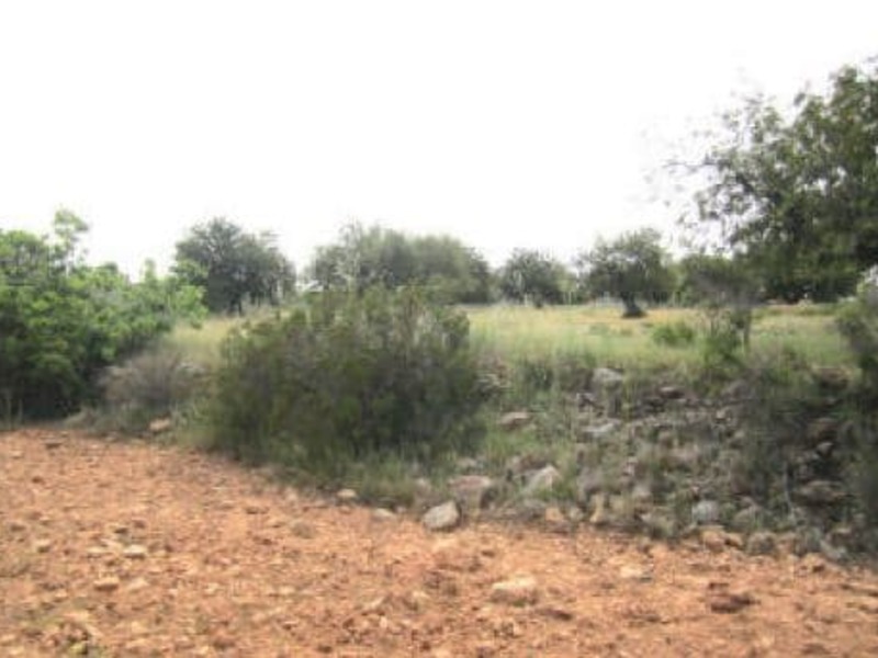 Suelo - Urbanizable en venta  en Urbanización LOS VISOS, Cheste