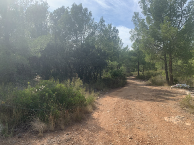 Suelo en venta  en Calle LES SORTS, Pratdip