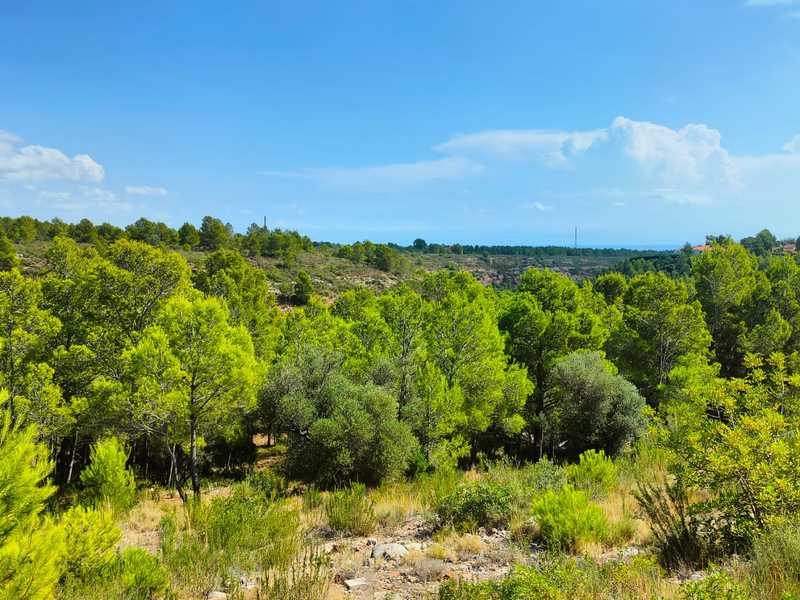 Suelo en venta  en Calle LES SORTS, Pratdip