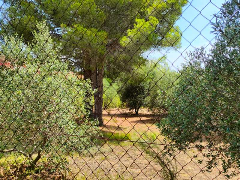 Suelo en venta  en Calle LES SORTS, Pratdip