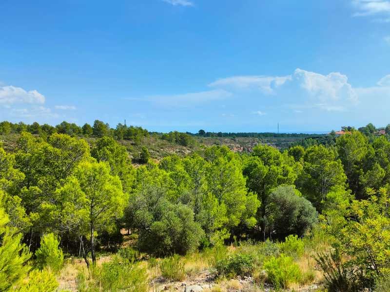 Suelo en venta  en Calle LES SORTS, Pratdip