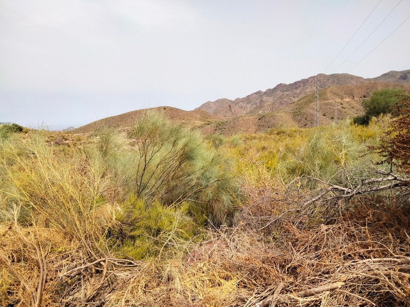 Suelo en venta  en Via CORTIJO GRANDE, Turre