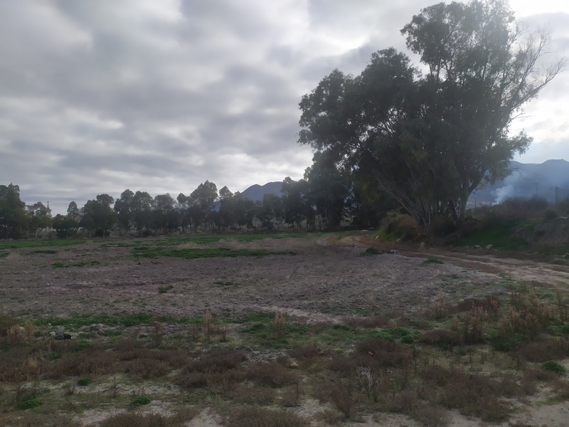 Suelo en venta  en Bajada esparragal, Turre