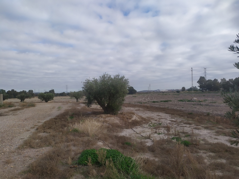 Suelo en venta  en Bajada esparragal, Turre