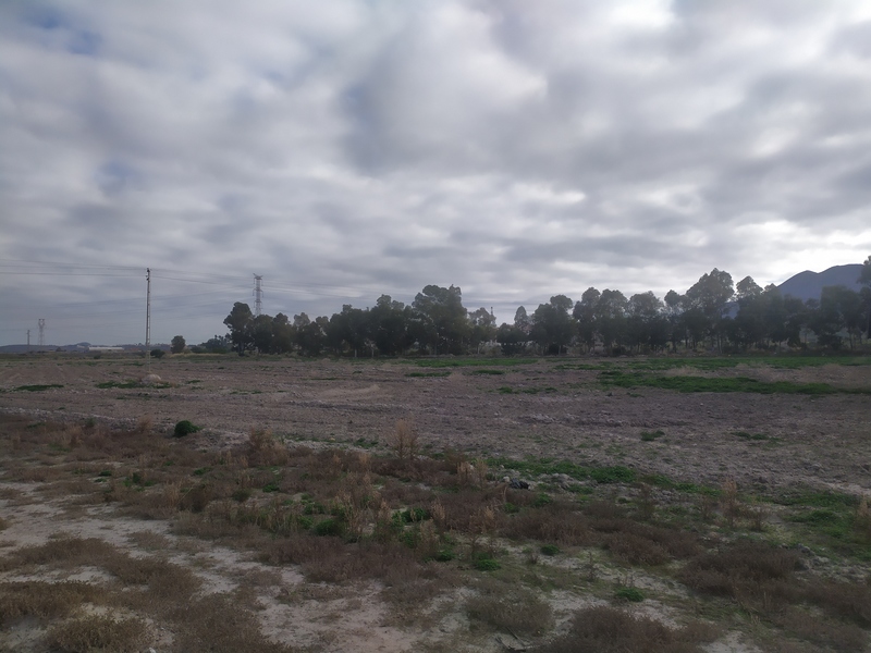 Suelo en venta  en Bajada esparragal, Turre