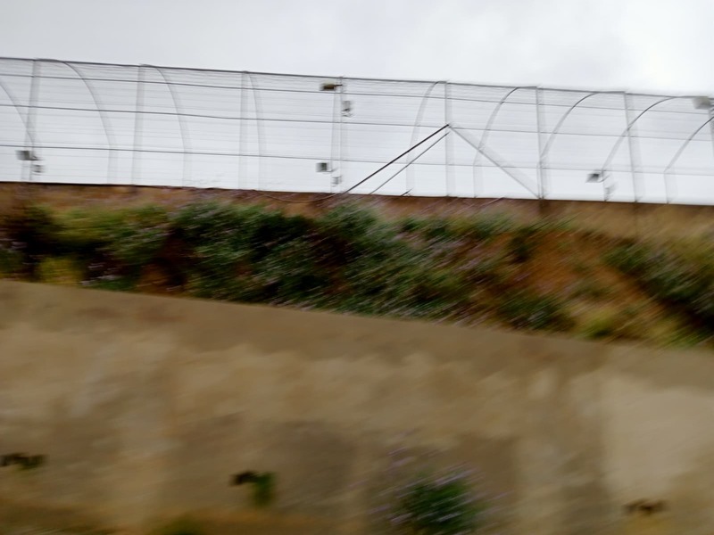 Suelo en venta  en Calle JUAN ANTONIO GÓMEZ TRENOR, Montserrat