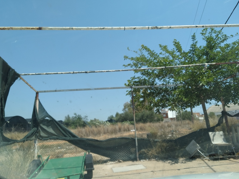 Suelo en venta  en Calle PINTOR RIBERA, Alginet Suelo en venta  en Calle PINTOR RIBERA, Alginet