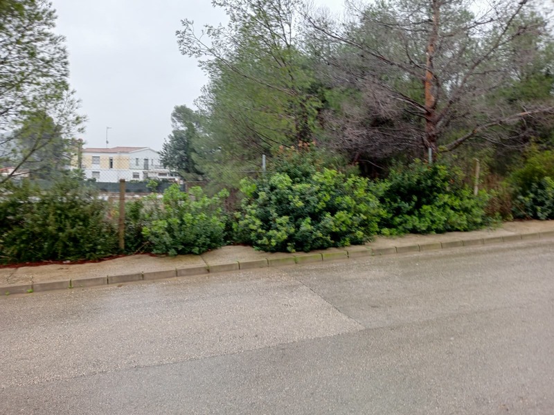 Suelo en venta  en Calle RIU TURIA, Montserrat