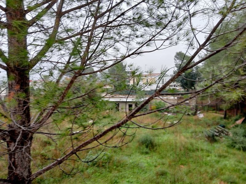 Suelo en venta  en Calle RIU TURIA, Montserrat