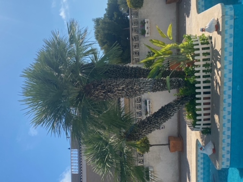 Casa en venta  en  ROCA BLANCA, Benidorm