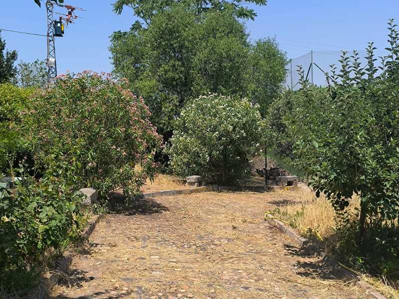 Chalet en venta  en Camino caballeros, Ciudad Real