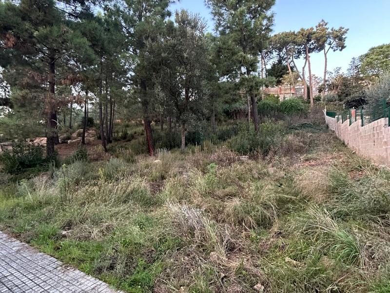 Suelo en venta  en Calle CASTANYER, Riudarenes