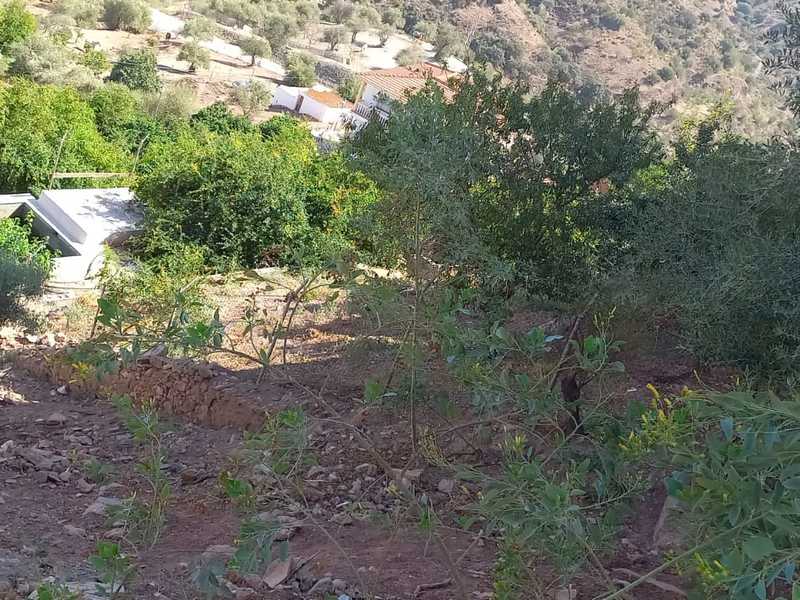 Suelo en venta  en Calle MARCELO SAN ESTEBAN, Almogía