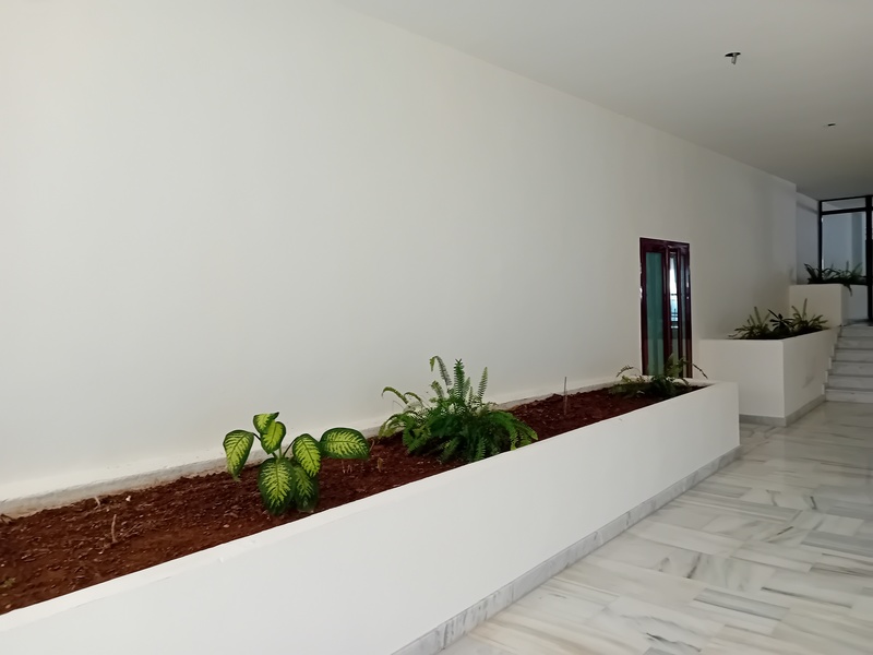 Local en venta  en Urbanización PARQUE BOTANICO, Benahavís Local en venta  en Urbanización PARQUE BOTANICO, Benahavís