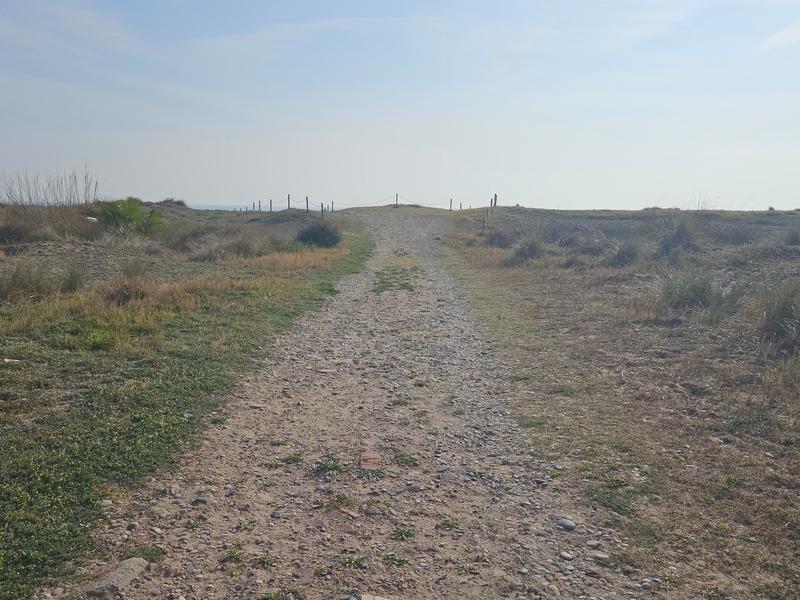 Apartamento en alquiler  en Calle PISCIS, Sagunto / Sagunt