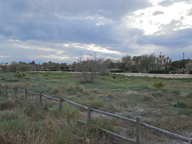 Suelo en venta  en Avenida MAR (DE LA), Almenara