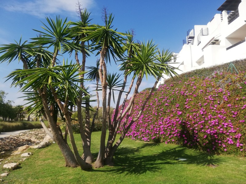 Apartamento en venta  en Avenida Alcazaba (Pueblo salinas I), Vera