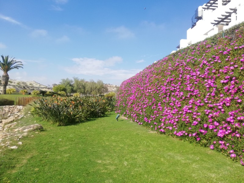 Ático en venta  en Avenida Alcazaba 115 (Pueblo Salinas I), Vera