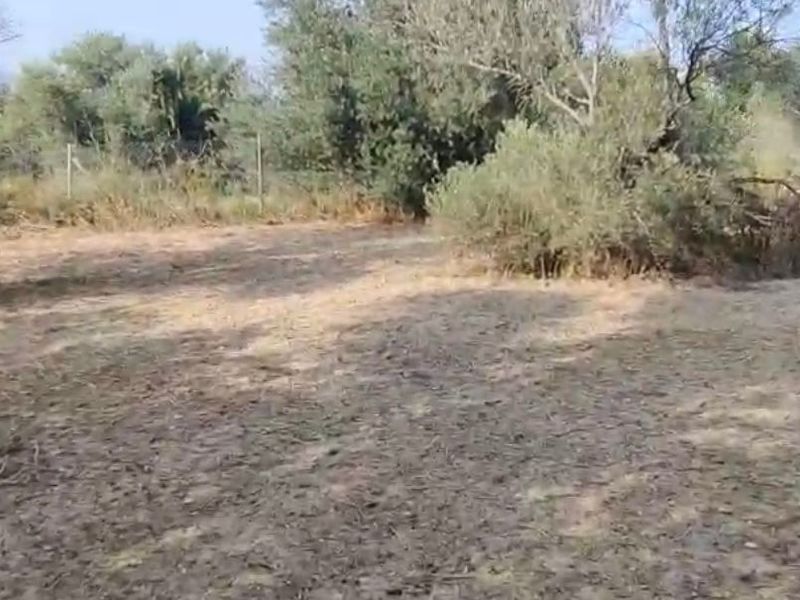 Casa rústica en venta  en Calle Beni, L'Alfàs del Pi