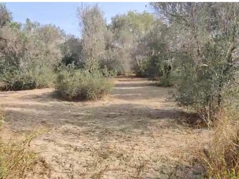 Casa rústica en venta  en Calle Beni, L'Alfàs del Pi